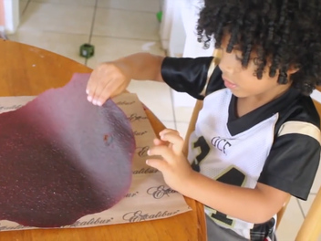 Homemade Fruit Roll Ups